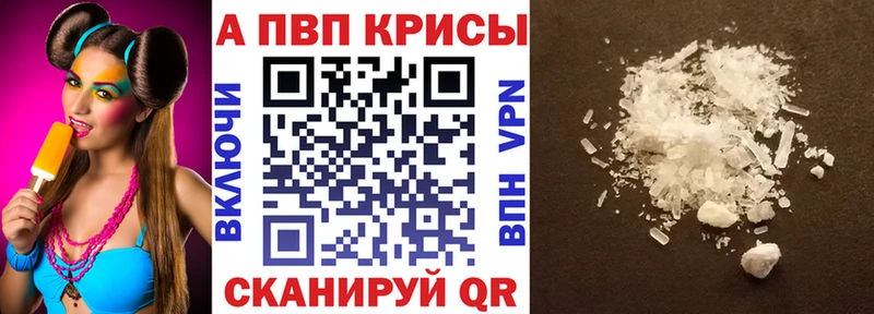 Alfa_PVP СК Высоцк