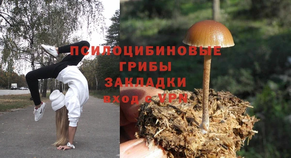 дживик Беломорск