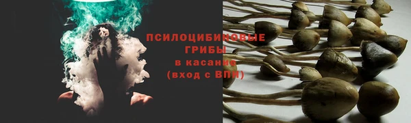 дживик Беломорск