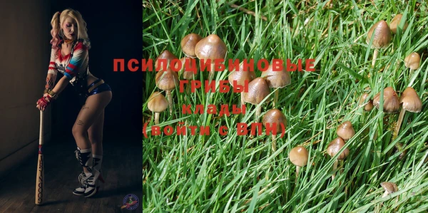 ALPHA PVP Белокуриха
