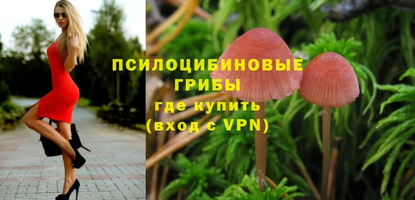 ALPHA PVP Белокуриха